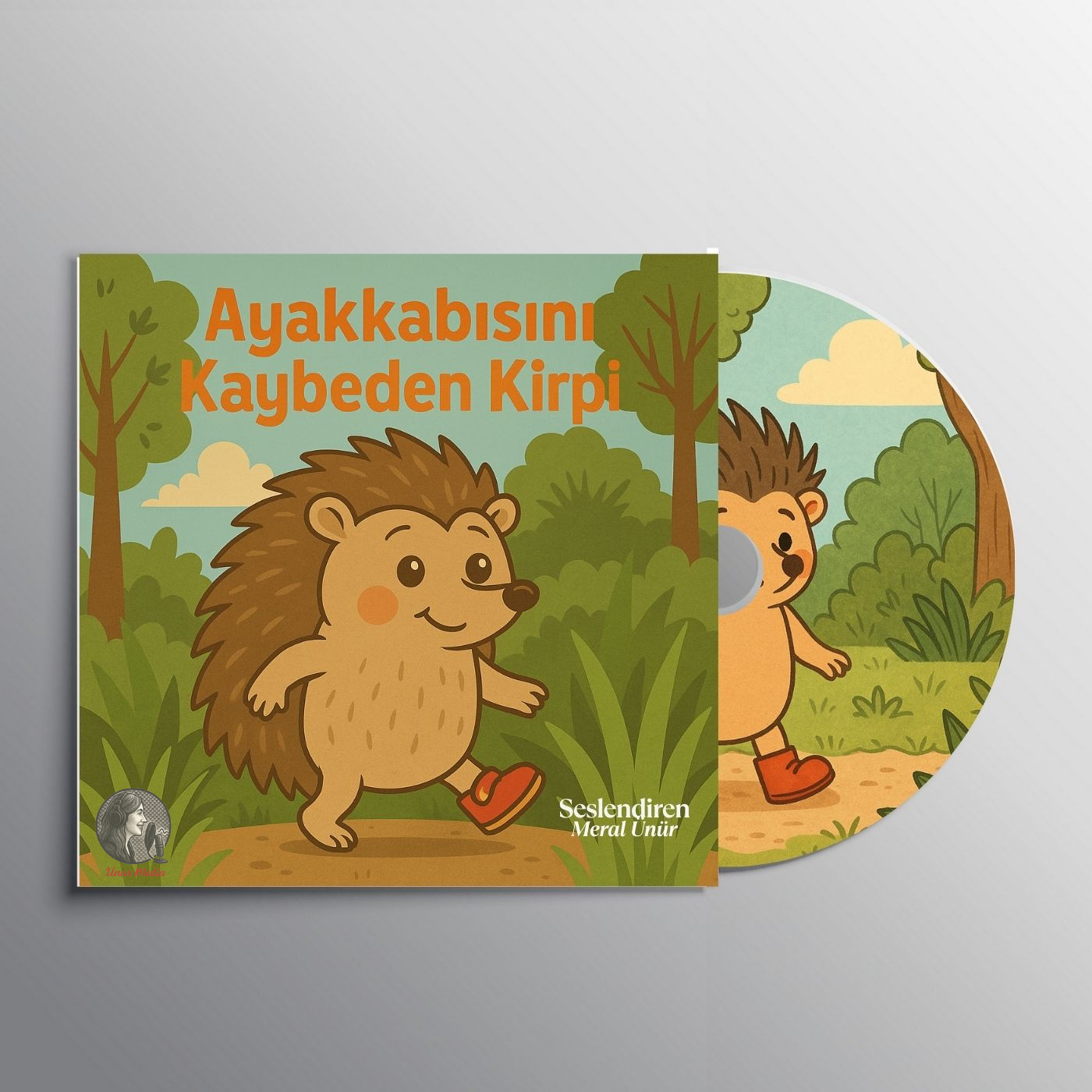 Ayakkabısını Kaybeden Kirpi